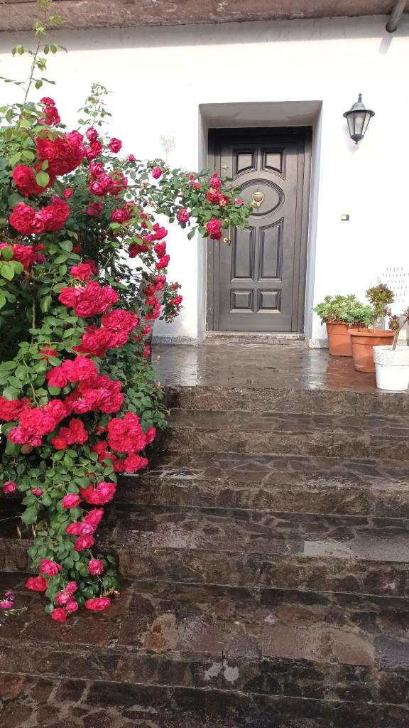 Casale Pamicla photo 1
