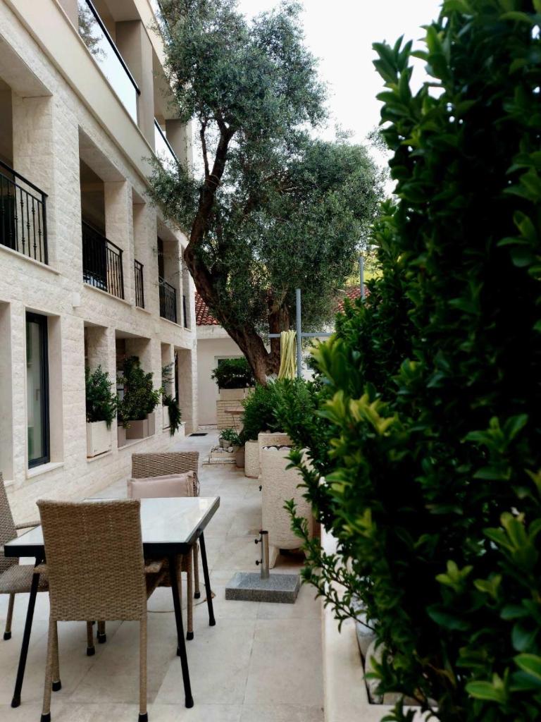 Apartments Djuro Rafailovic photo 3