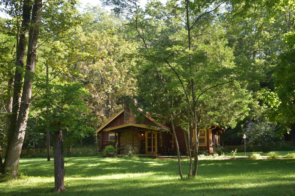 Blue Moon Log Cabin image