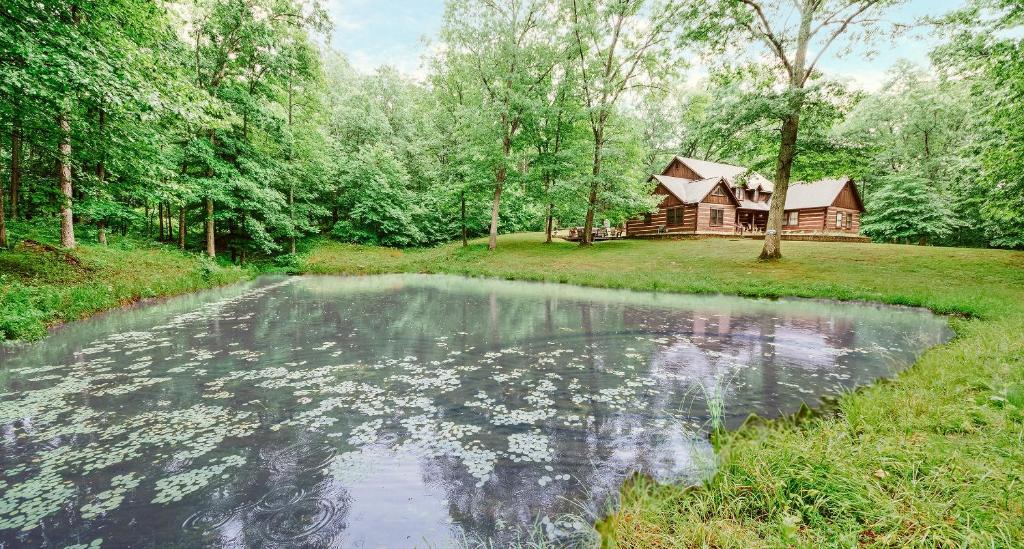 Grand Cabin photo 1