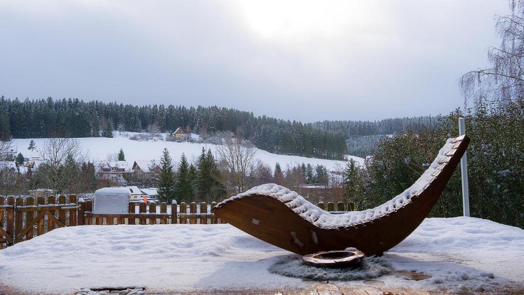 Entire House in Schwarzwald with mountain view, private Sauna, Gym, Garden and Terraces photo 1