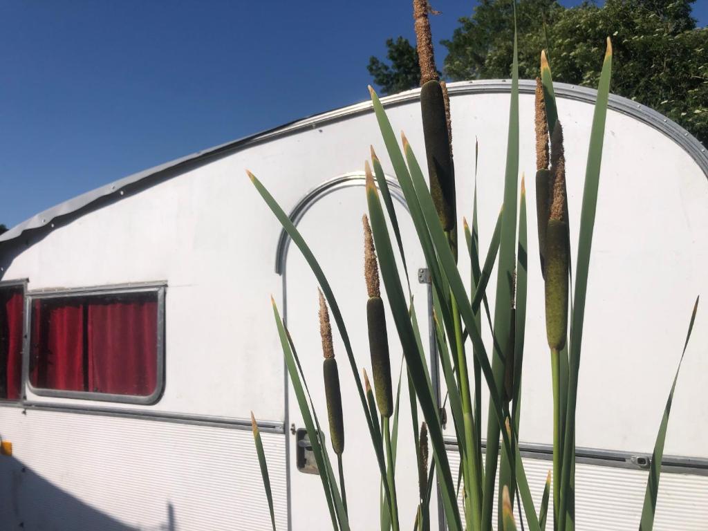 Adorable petite maison sur Loire à vélo photo 1