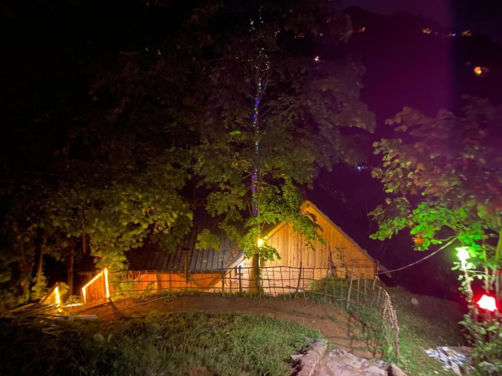 Petra Suit Bungalov Villa photo 3