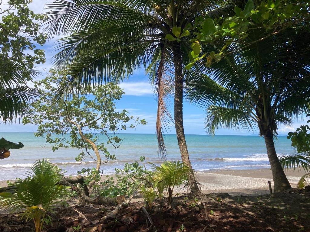 Popochos Beach Eco-Lodge