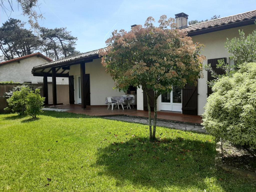 Maison Vieux-Boucau-les-Bains, 5 pièces, 8 personnes - FR-1-239-964