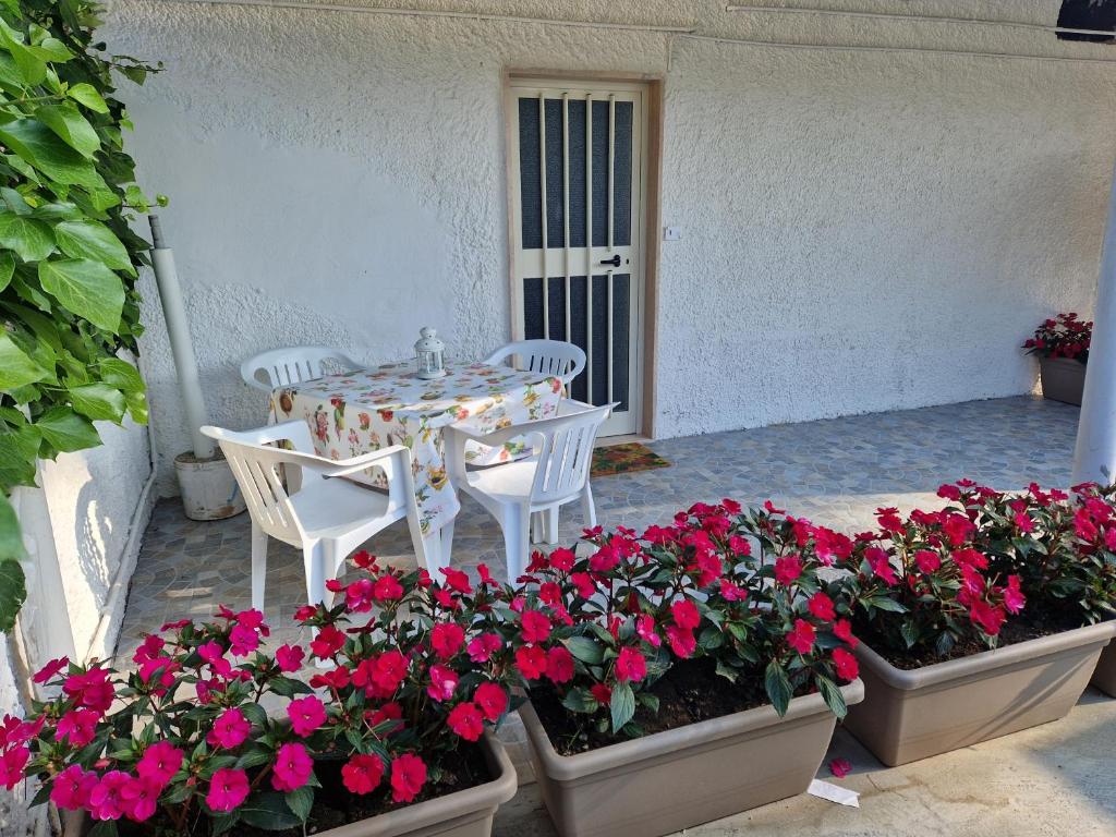Casa Alba Paestum Room Type - One-Bedroom House