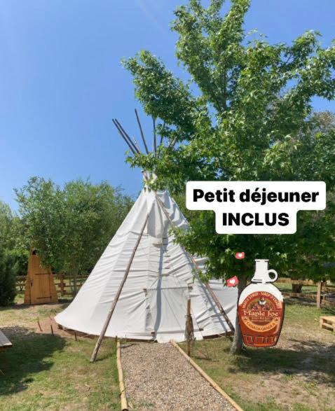 BLUE TIPI