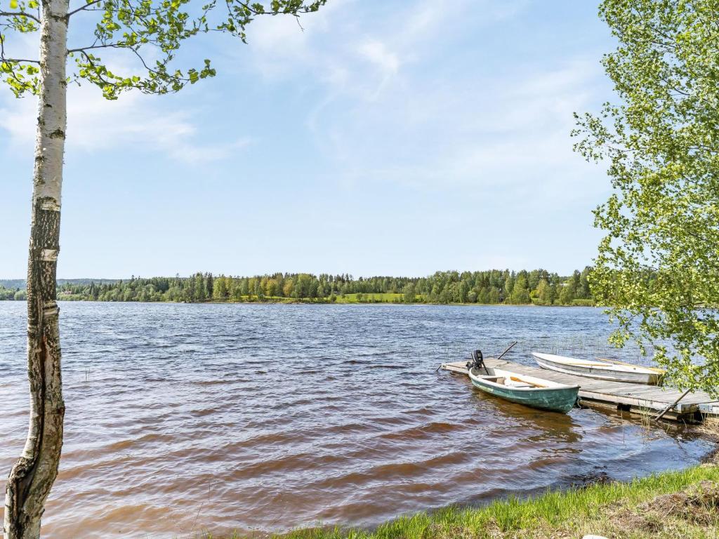 Chalet Löaborn - VML250 by Interhome photo 4