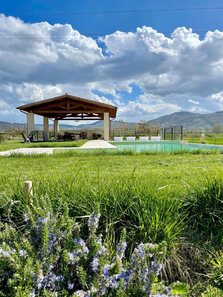 Villa with pool Trasimeno photo 2