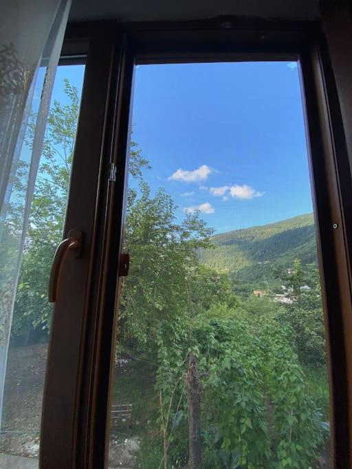 Cenneti Anımsatan Yeşillik Doğal Ortamda Mangal photo 2