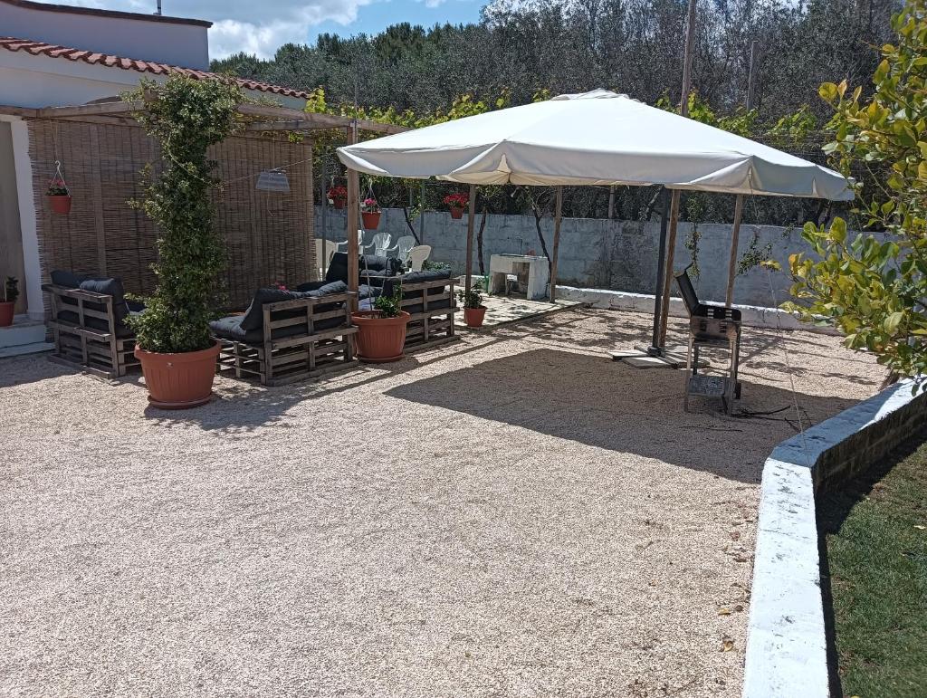 Casa vacanze Salento: Villa Charlotte photo 4