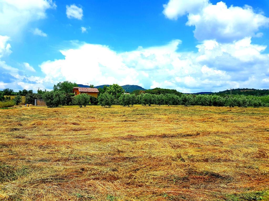 Villa Oliva photo 4
