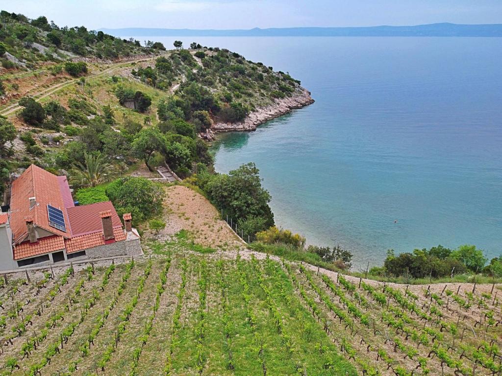 Holiday Home Micheli by Interhome photo 1