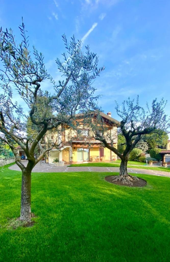 Casa Clerici 1956 photo 2