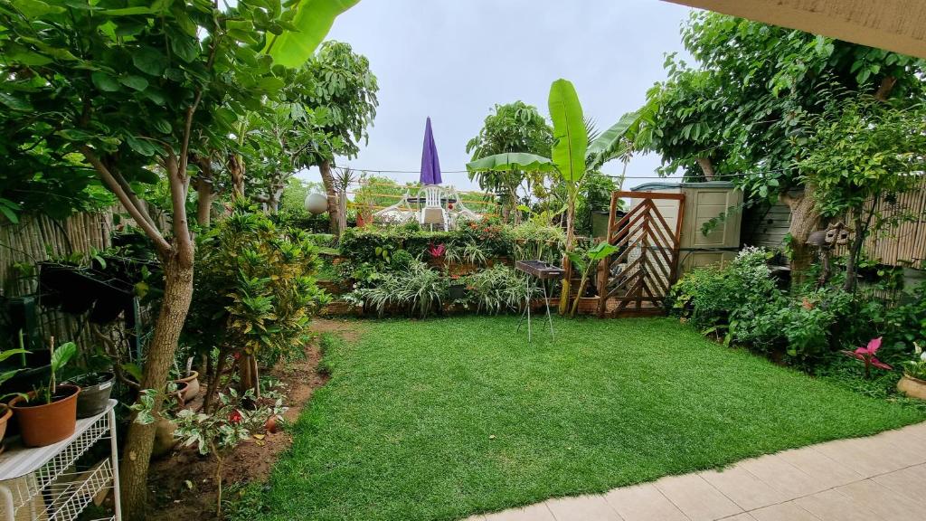 Holiday garden apartment photo 1