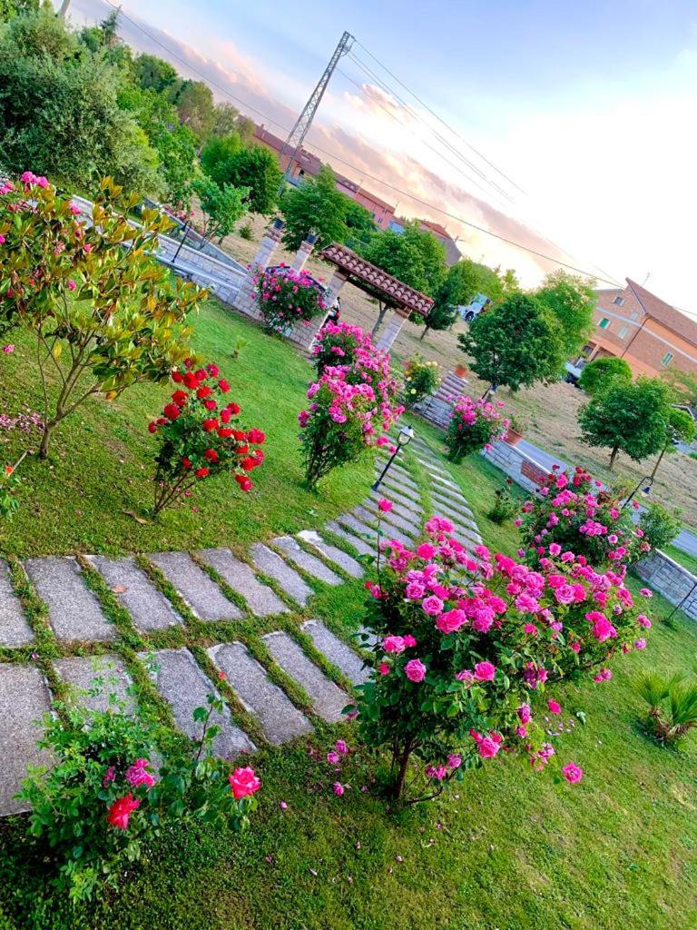 B&B da Mary photo 3