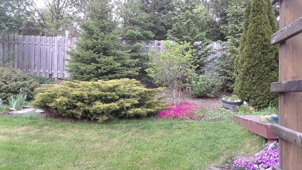 Hanna's House photo 3