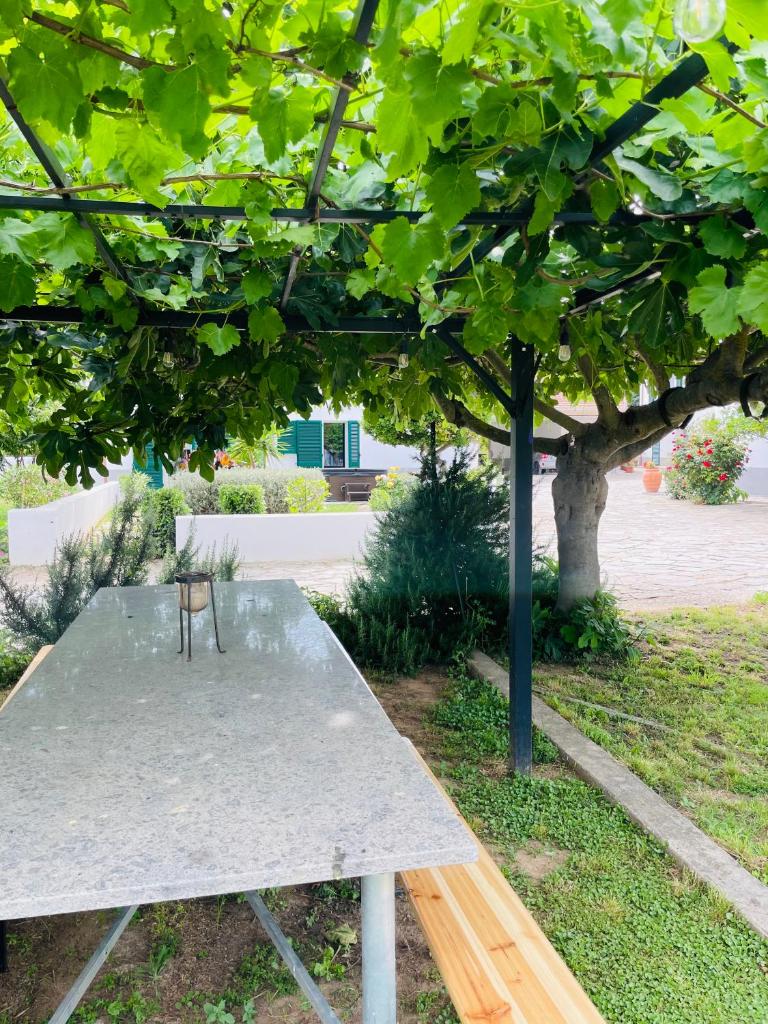 Appartamenti Podere San Sebastiano photo 1