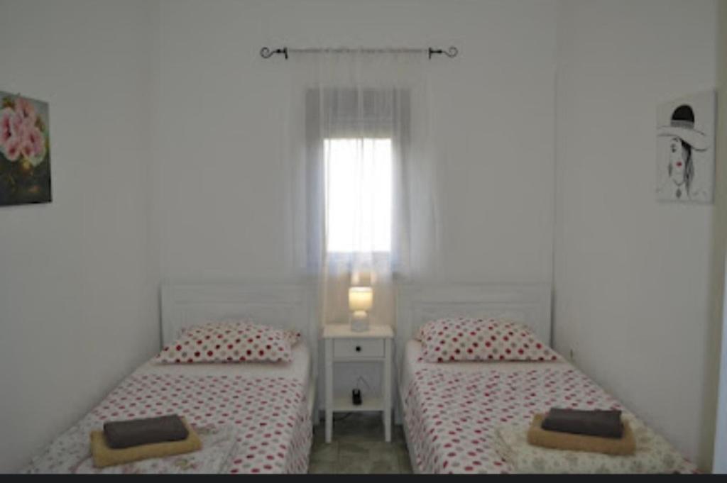 Apartment Lora photo 2