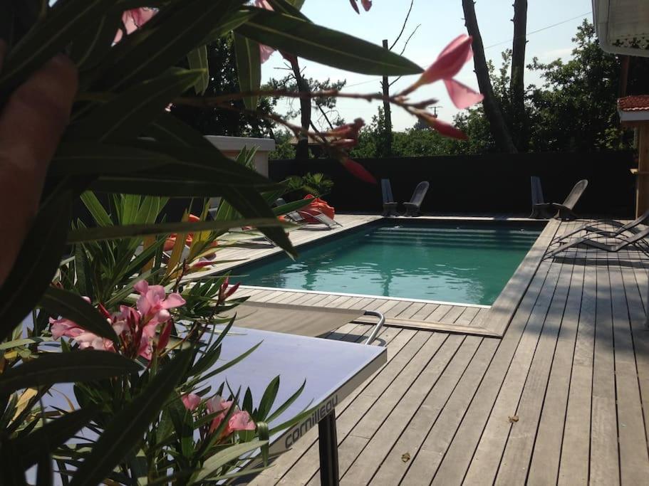 villa 26 PAX Bassin Arcachon photo 3
