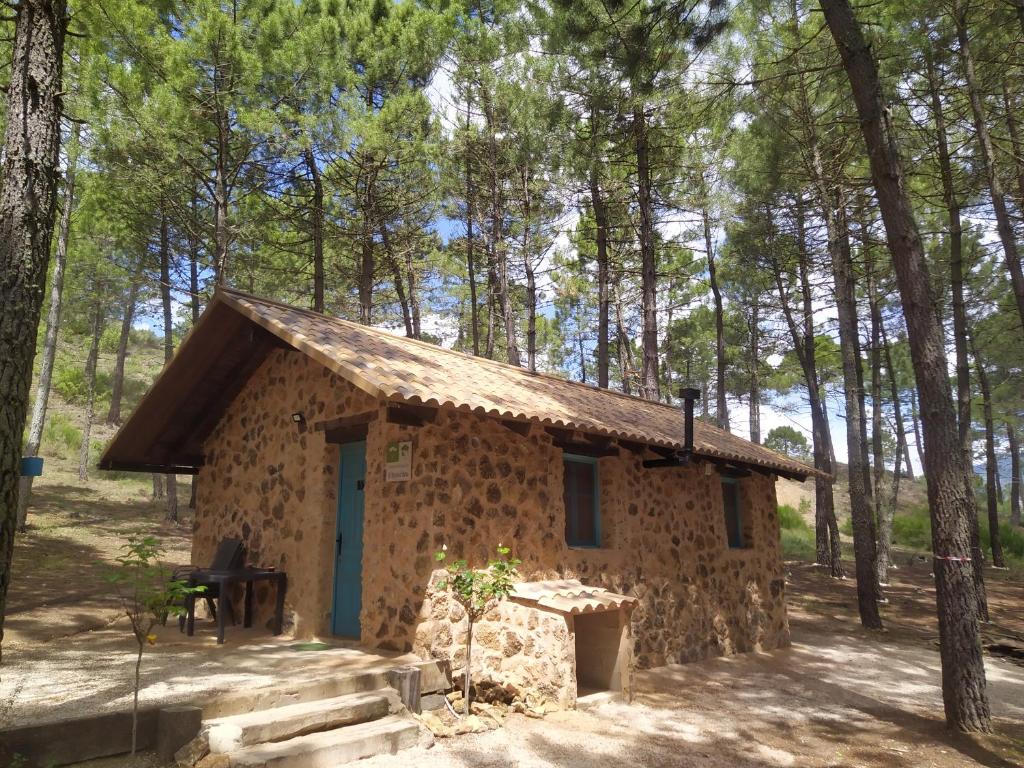 El Rincón de María. photo 2