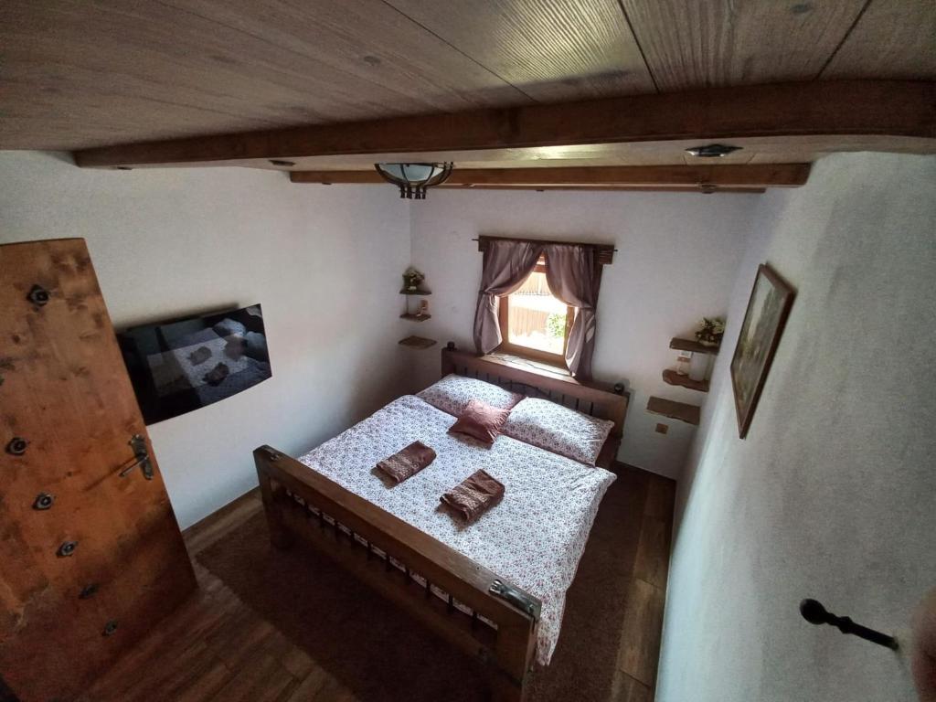 V ZAJEČSKEJ VĚŽI photo 3