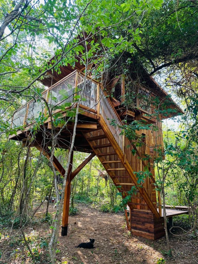Tamarindo Pura Selva Eco Tree House