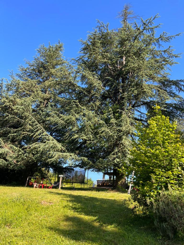 Domaine le Manoir, gîtes de charme et de caractère avec piscines privatisées et spa nordique photo 2