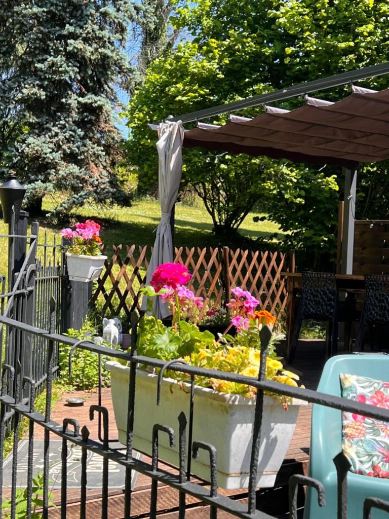 Domaine le Manoir, gîtes de charme et de caractère avec piscines privatisées et spa nordique photo 1