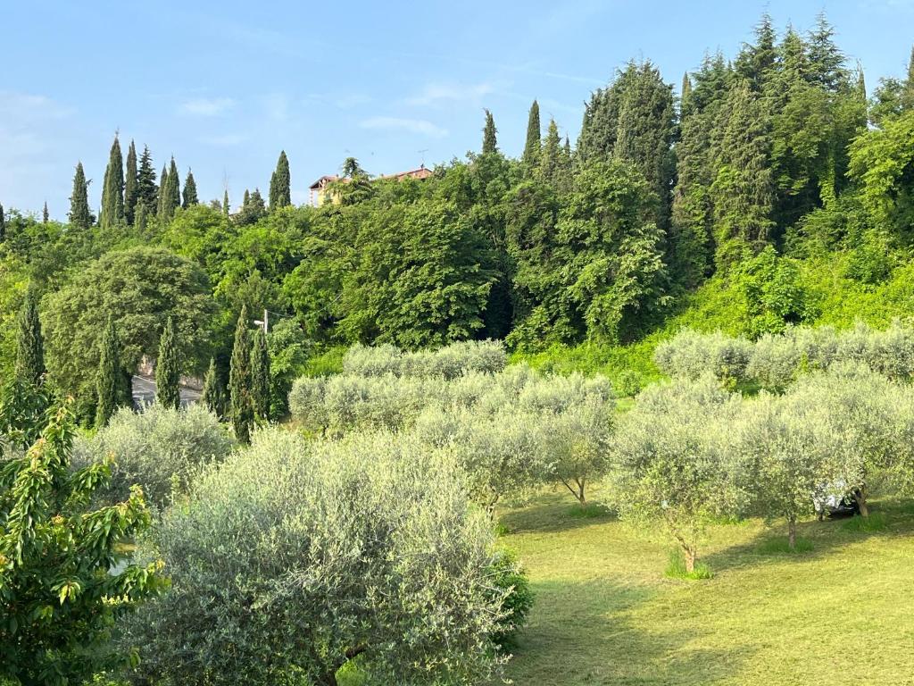 Agriturismo Val photo 2