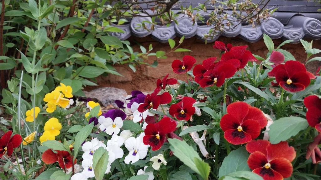 Mirinae Hanok Tradiational House photo 1