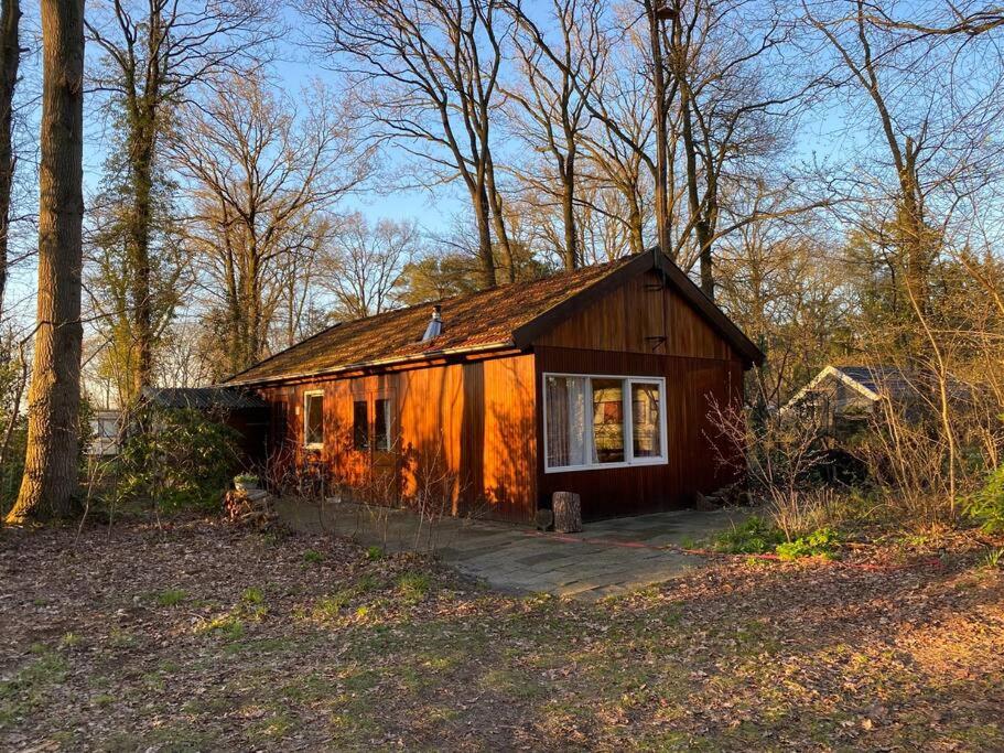 Basic Natuurhuisje Ommen/Beerze photo 3