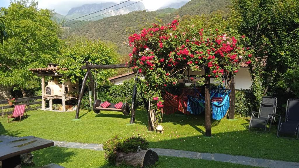 Apartamentos Samelar photo 2