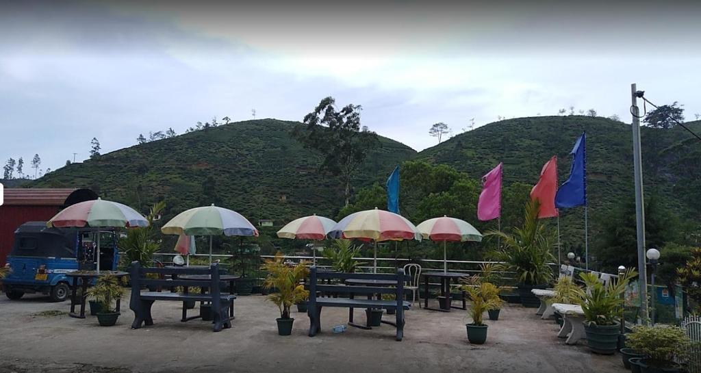 NEW TEA VILLA photo 4