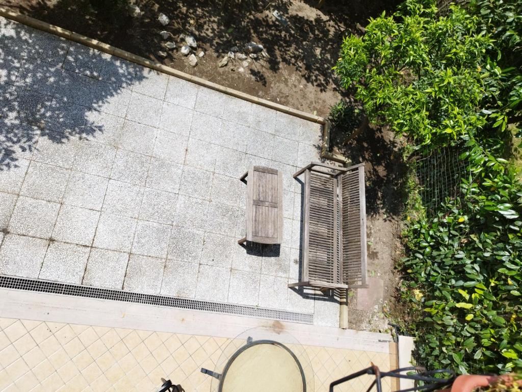 Green House photo 1