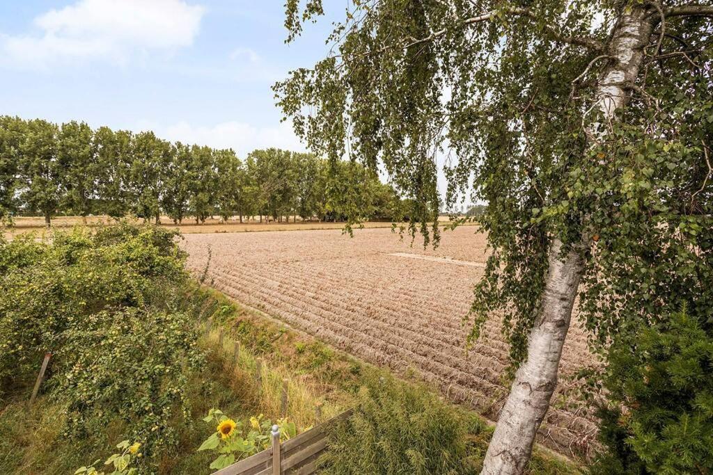 Vrijstaande woning, grote tuin. photo 1