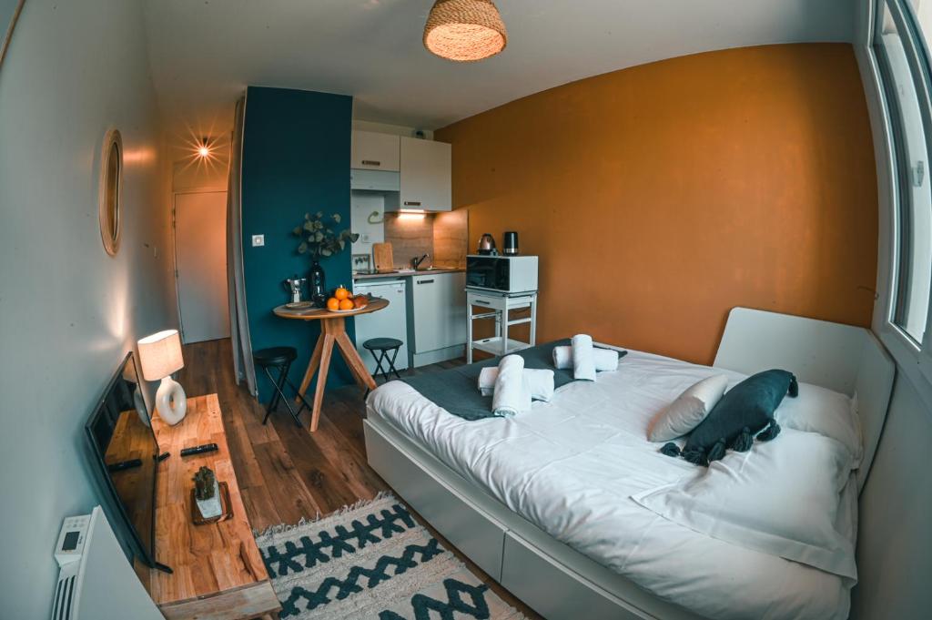 Studio Falquet - Proche vieille ville photo 1