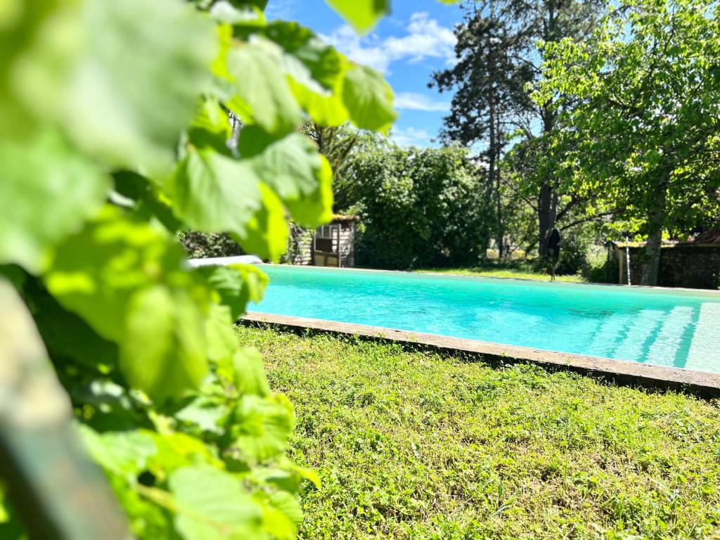 Au Domaine Valigny, piscine chauffée + WIFI Fibre photo 3