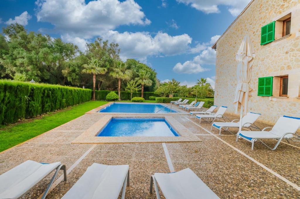 El Palmeral photo 2