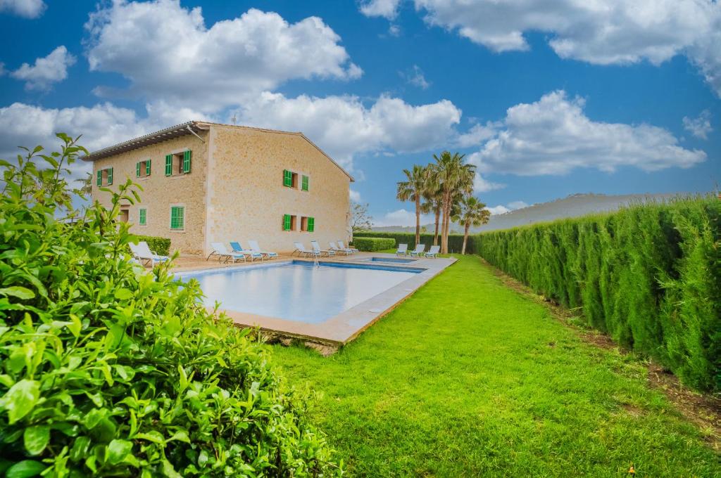 El Palmeral photo 3