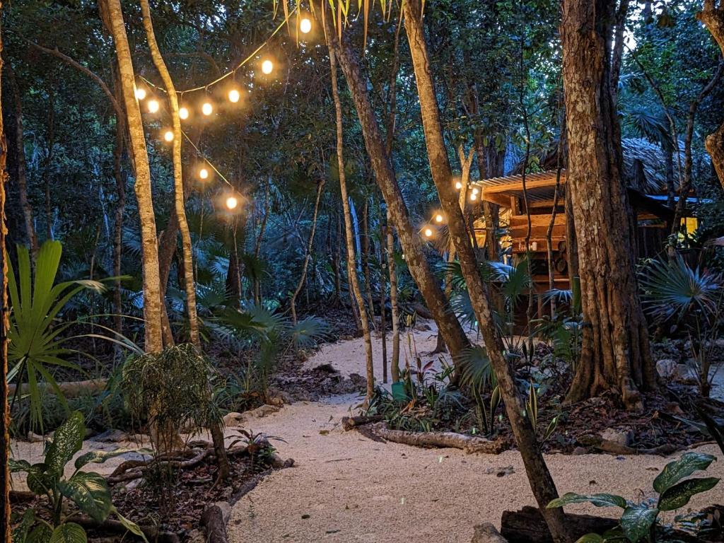 Casita Imperiale photo 1