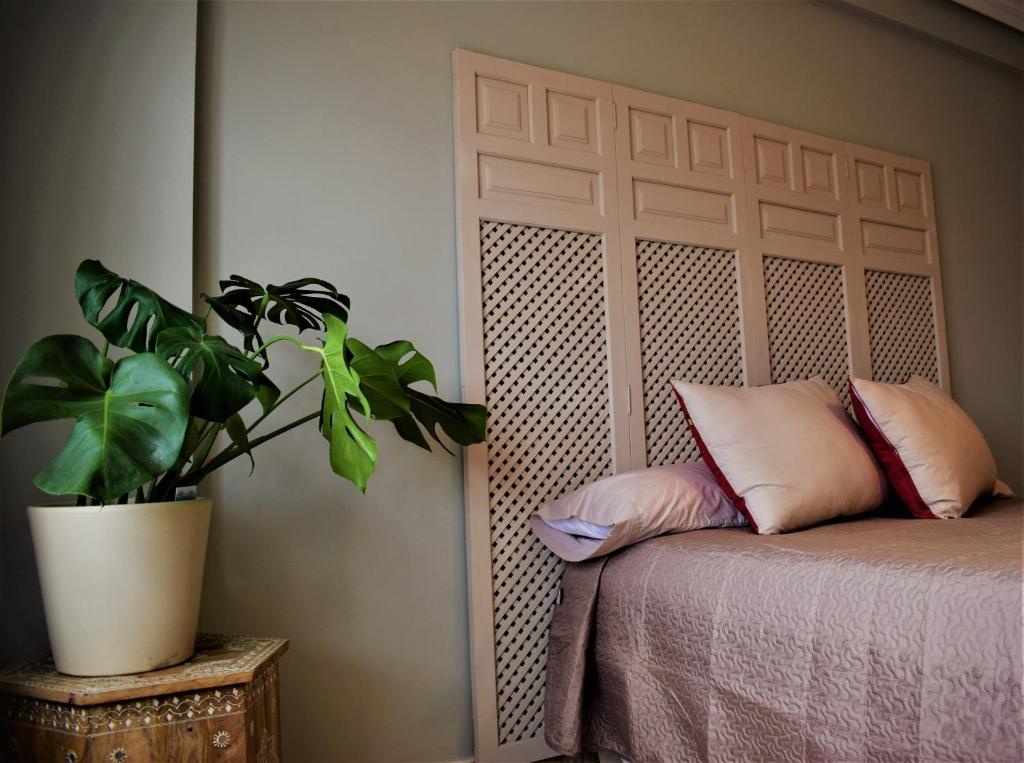 Apartamento Zaranda