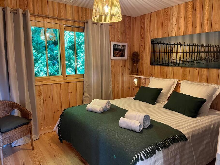 Cabane Noa neuve- piscine chauffée photo 1