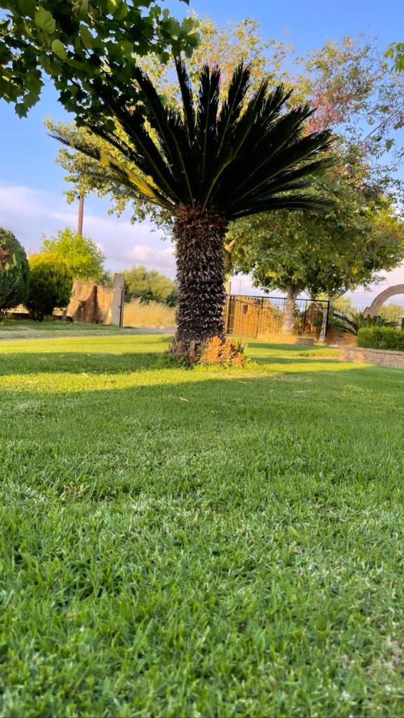 Mama’s Sunshine Garden Villa photo 2