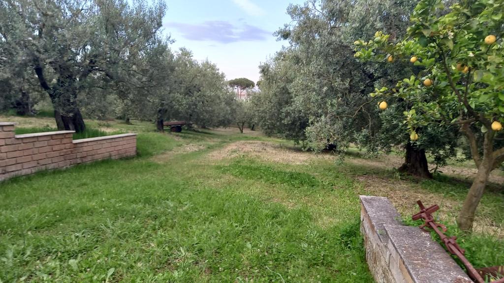 Domus Claudio in Villam