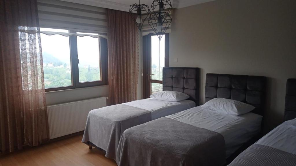 PİENAR VİLLA photo 3