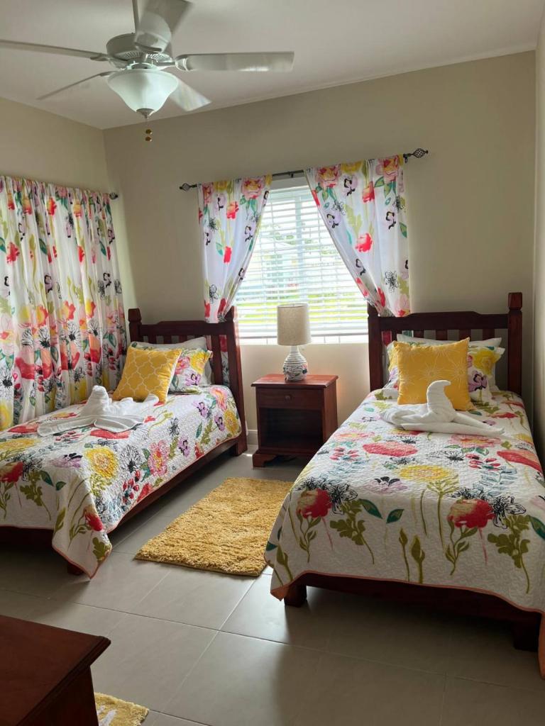 Spacious apartments Crystal Waters photo 4