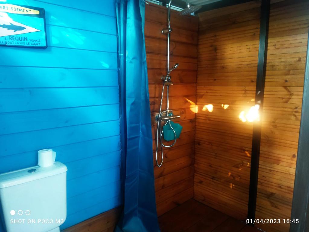 Bungalow bleu photo 3