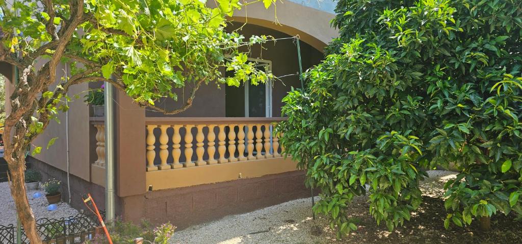 Apartments Las Cabezas photo 1