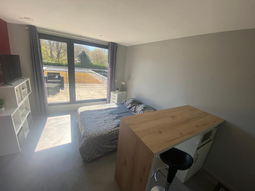 Appartement avec terrasse - La Motte-Servolex photo 2